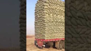 Have you ever seen a trailer pull so much cargo