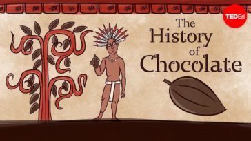 The History of Chocolate