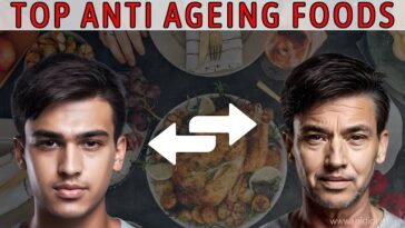 Anti-Ageing Nutrition: 5 Powerhouse Foods for a Healthier, Longer Life