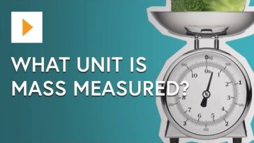 Exploring Mass: Understanding the Metric System of Measurement