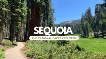 Exploring Sequoia National Park: Home to the Giant Trees
