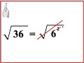 Exploring the World of Square Roots: A Journey into Mathematical Discovery