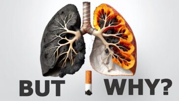Restoring Lung Health: The Remarkable Journey After Quitting Smoking