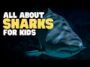 Sharks: Ancient Wonders of the Deep