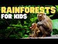 Temperate and Boreal Rainforests: Exploring the Wonders of the North