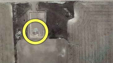 The Abandoned Shed in Utah: A Gateway to the End of the World?