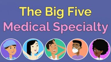 The Best Medical Specialty for Your Personality