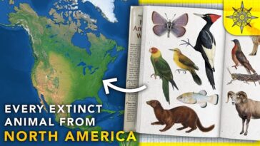 Vanished Giants: Exploring the Lost Fauna of North America