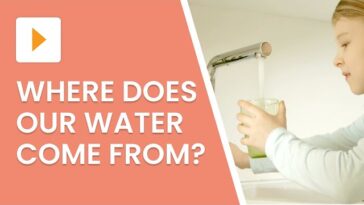 Where Does Our Water Come From?