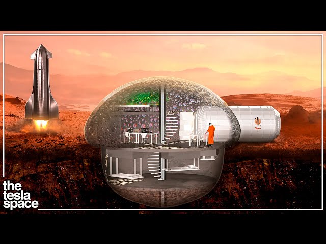 Exploring Spacex'S Vision For Mars Colonization: A Comprehensive Guide - Image 1