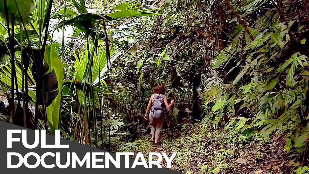 Adventure Awaits: From Volcanoes to Jungles, Your Guide to 