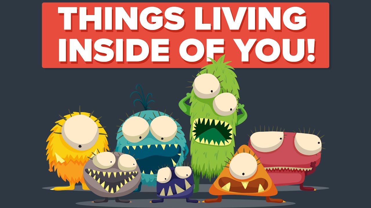 The Creepy-Crawlies Inside Us: Understanding Parasites and Infections